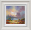 Picture of Summer Sky