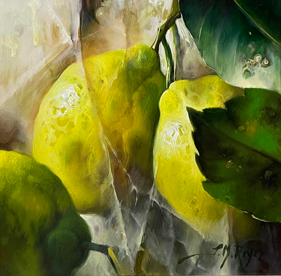 https://www.galleryrouge.co.uk/cdn-cgi/image/quality=60Picture of Lemons